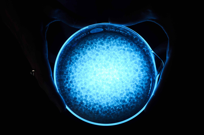 Czy fizyka jądrowa i biznes mają ze sobą po drodze? Czy atom trafi pod nasze strzechy? [podcast]